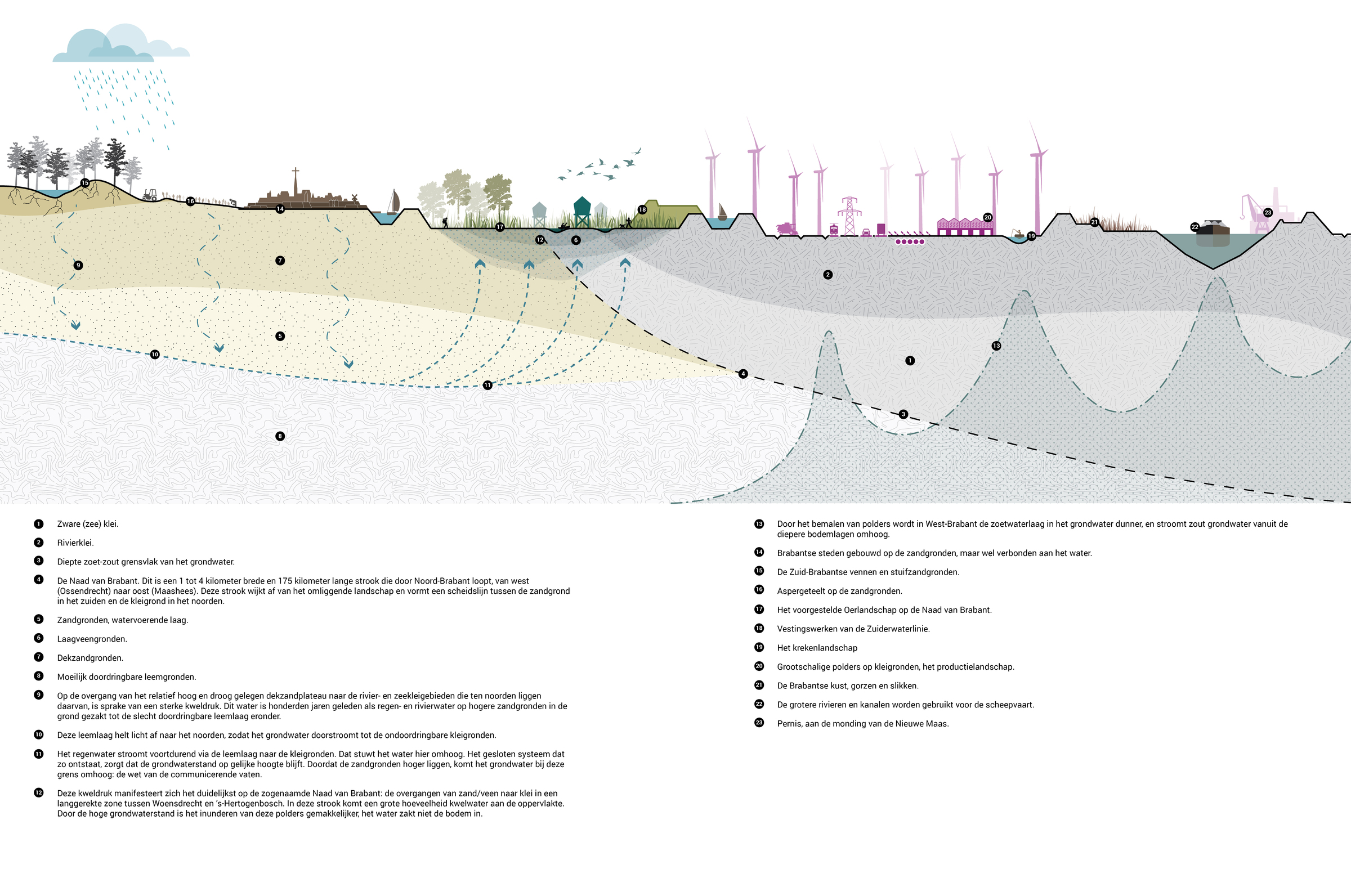 Cross section of the proposal for the West-Brabant landscape